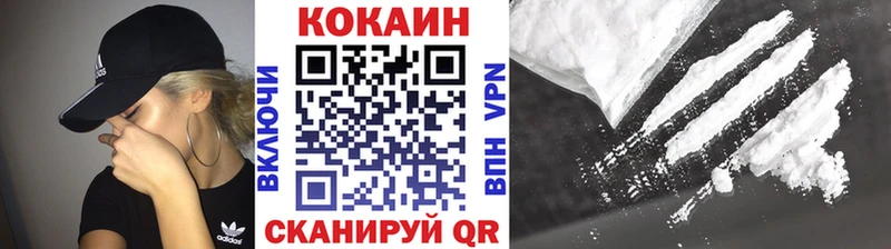 Cocaine Эквадор  как найти наркотики  Циолковский 