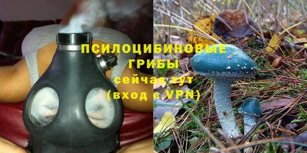 ALPHA PVP Михайловск