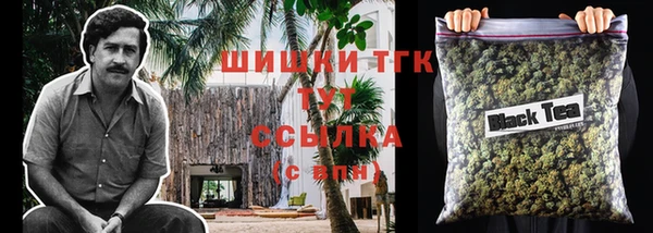 шишки Михайлов