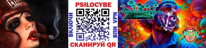 Псилоцибиновые грибы GOLDEN TEACHER Циолковский