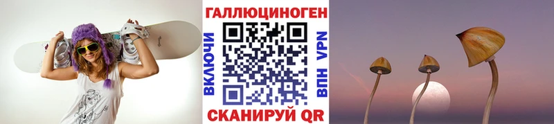 Псилоцибиновые грибы Cubensis  Циолковский 